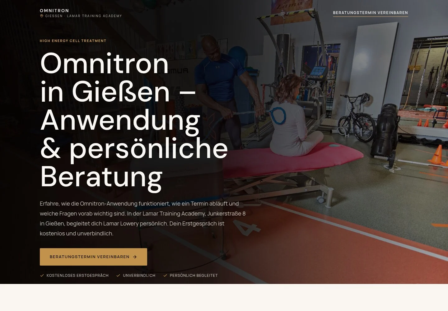 Reale Vorschau der Omnitron Website