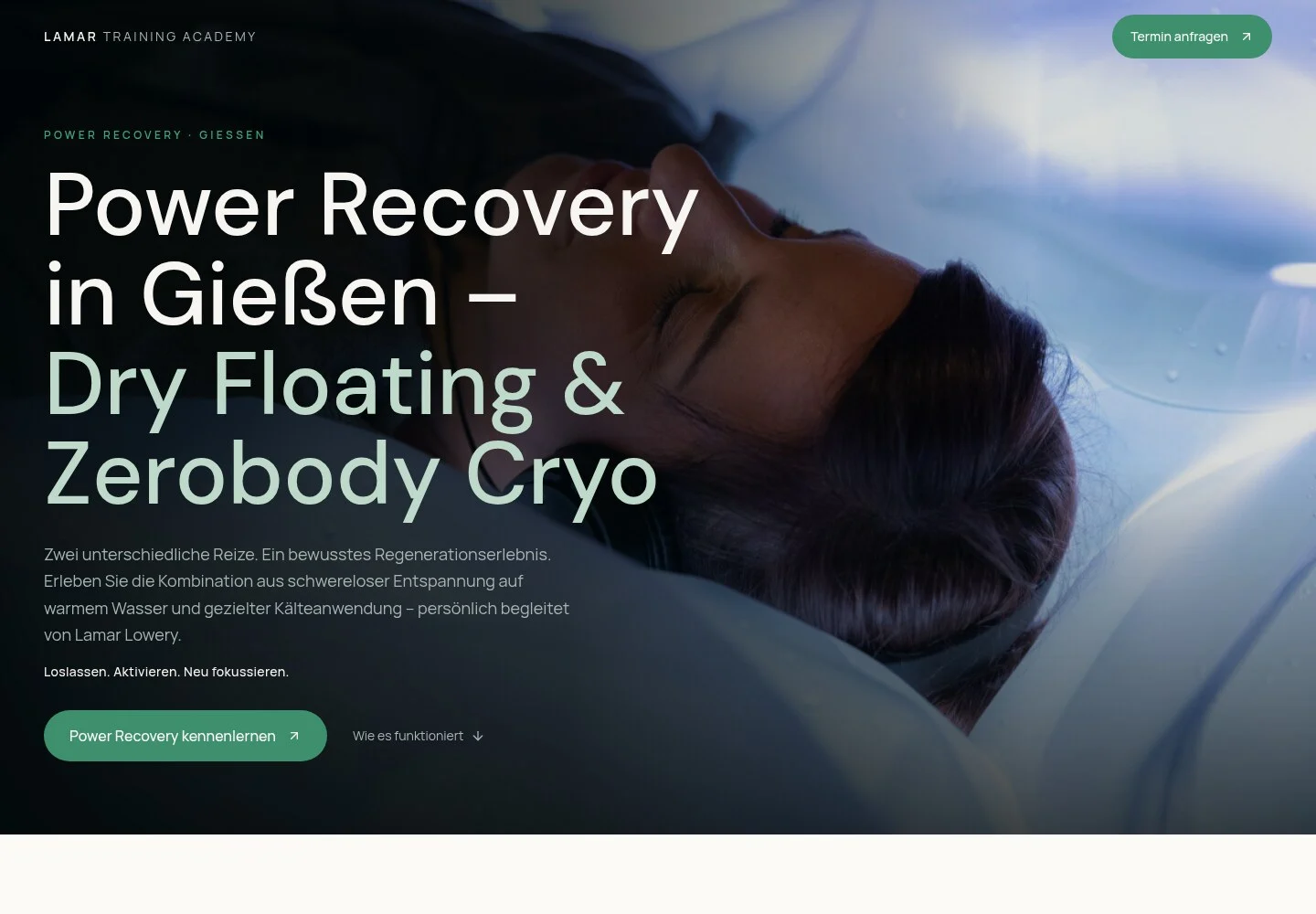 Reale Vorschau der Power Recovery Website