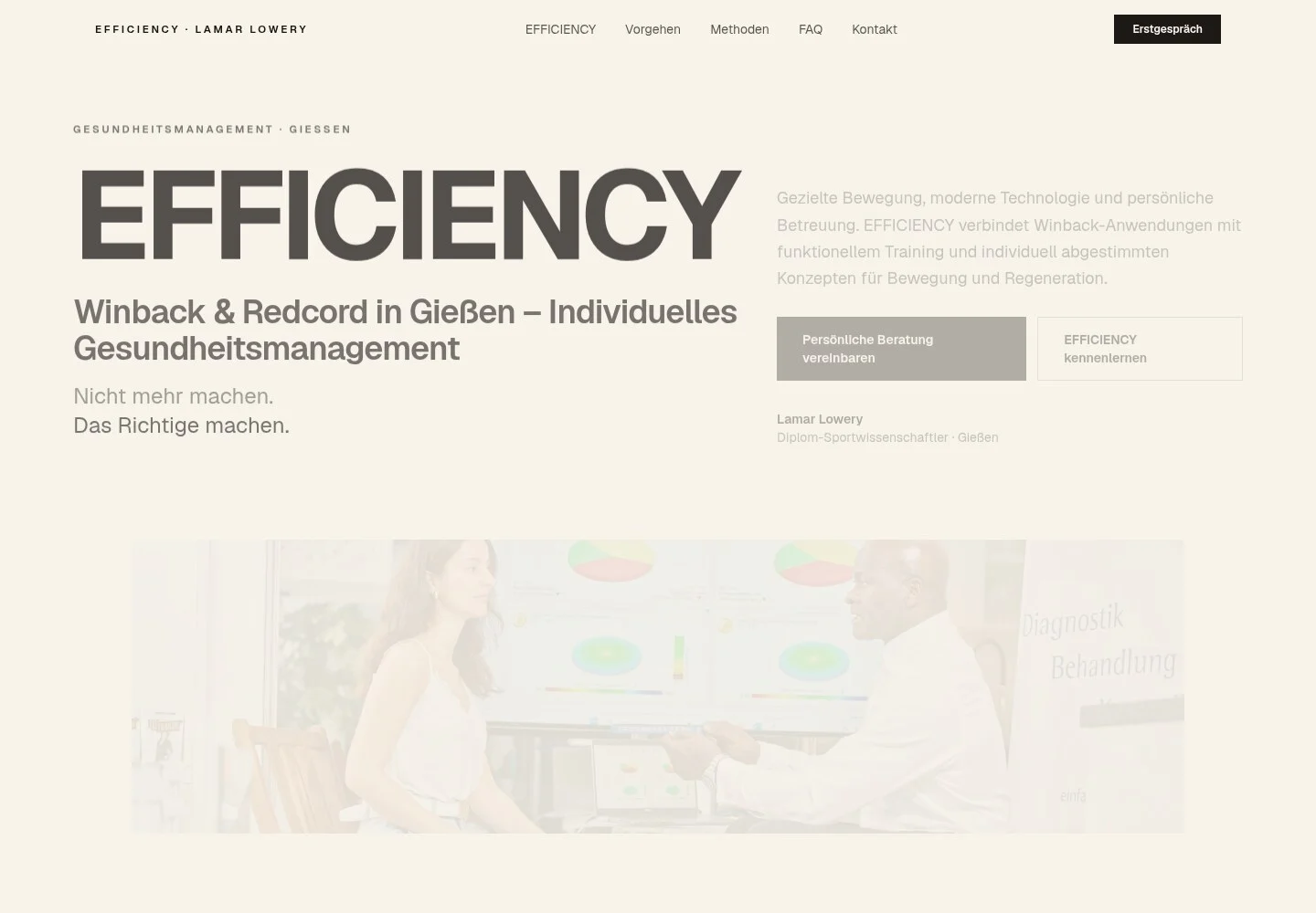 Reale Vorschau der Efficiency Website